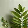 Recycled sustainable material used in smart home devices